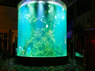China costume barato super grande ronda pmma acuarios de vidro tanques claros de cilindros de peixe acrílico