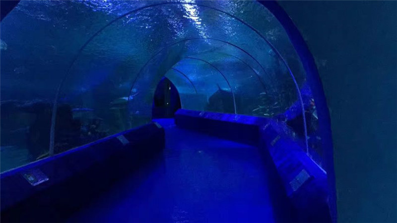 Paneles acrílicos de 180 ou 90 graos para o túnel do acuario