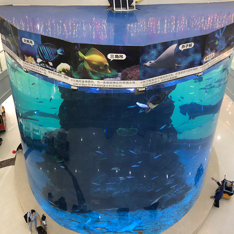 de 20mm a 500mm de espesor de paneis acrílicos para peixes grandes modernos