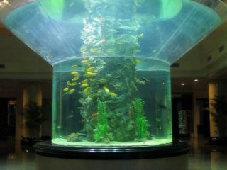 PMMA acuario de vidro medio cilindro perspex claro tanque de peixes