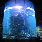 cilindro acrílico claro gran acuario para acuarios ou parque acuático