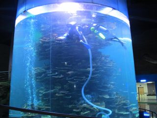 cilindro acrílico claro gran acuario para acuarios ou parque acuático