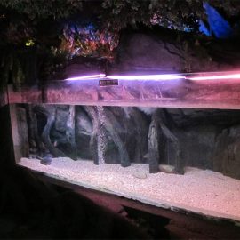 Panel de piscina acrílica / ventá para Underwater Sea World