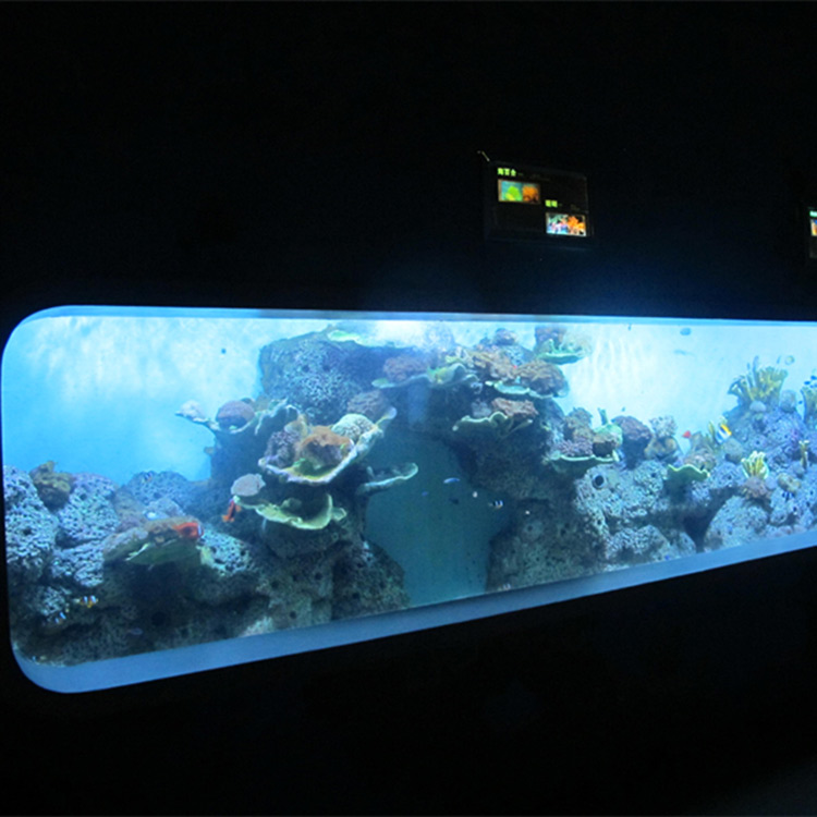 Aquarium de peixes transparente cilíndrico de acrílico fundido artificial / xanela de visualización
