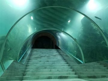 Túnel acrílico prezo do proxecto do acuario