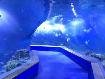 Claro PMMA acrílico Túnel de grandes plásticos de acuario