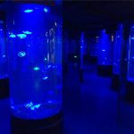 vaso de acuario de acrílico medusa